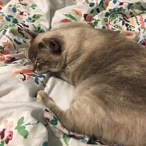 Meet your Posher, Aja